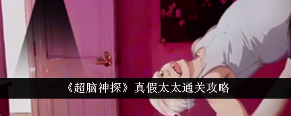 超脑神探真假太太如何通关 超脑神探真假太太图文攻略一览