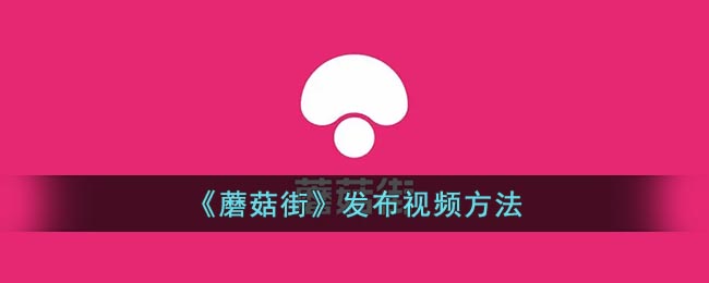 蘑菇街怎么发视频-蘑菇街如何发视频作品