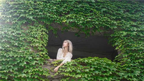 成品网站源码入口隐藏通道精品版：一款视频播放没有限制的播放软件