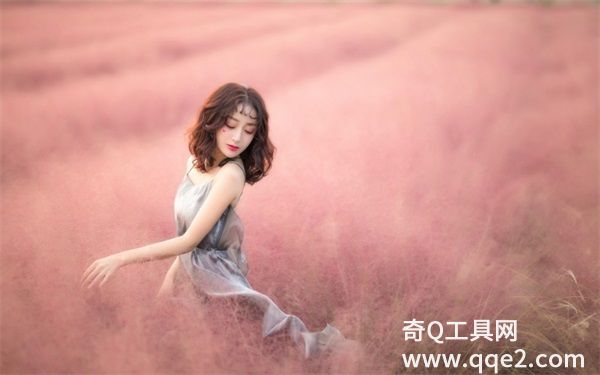 草莓秋葵黄瓜丝瓜榴莲绿巨人苹果：所有视频都采用了高清画质播放