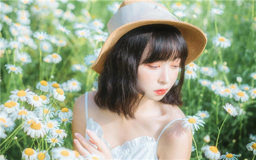 秋葵茄子丝瓜香瓜榴莲大全免费版：一款高质量无广告的视频播放软件