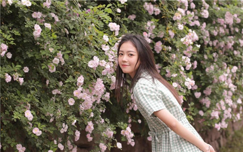 茄子芒果香蕉秋葵榴莲免费版：观看视频都可以享受超舒适播放的手机软件