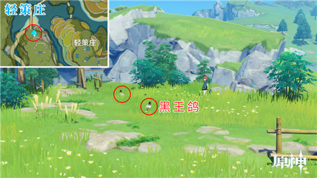 原神手游中四方八方鸽子的捕捉位置介绍