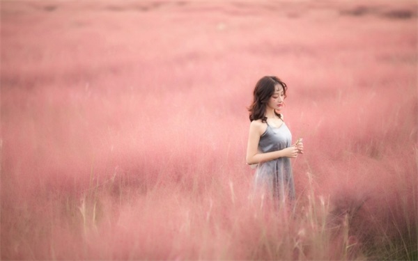 vodafonewifi巨大黑最新版：一款不会收取用户们任何费用的视频播放软件