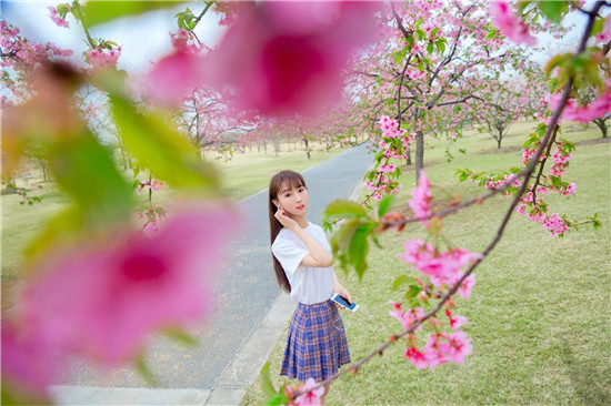 幸福宝草莓秋葵菠萝蜜黄瓜丝瓜芭乐：随时随地任意观看