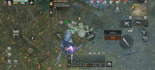 明日之后哈密瓜位置在哪里-明日之后哈密瓜位置分享