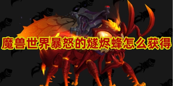 魔兽世界暴怒的燧烬蜂怎么获得 魔兽世界暴怒的燧烬蜂获得方法
