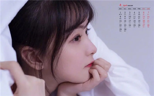 野花 高清 中文 免费 日本完全不收费,网友:真实免费资源!