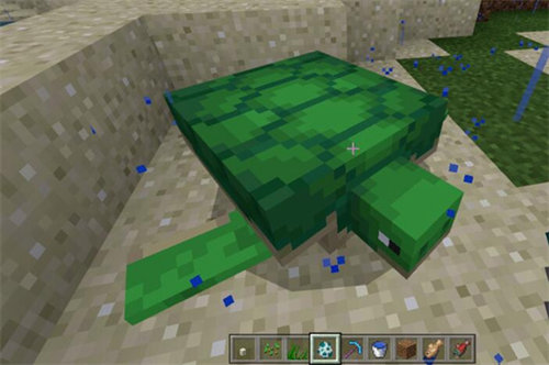 我的世界海龟蛋需要孵化多久 我的世界海龟蛋孵化时间介绍