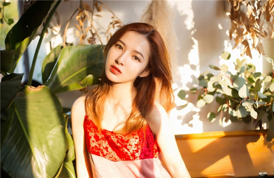 绿草视频VIP精简版:全网VIP付费视频通通免费带走