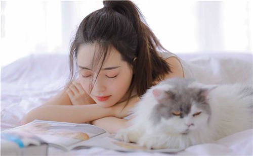 梅花视频app破解版官方：一款不花钱也能免费看片的破解版视频app