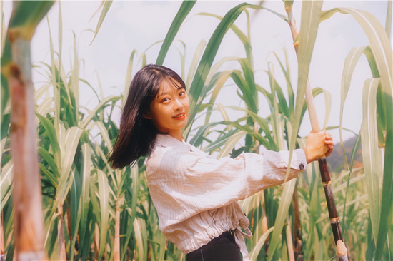 草莓香蕉榴莲丝瓜黄瓜茄子ios：高质量视频资源满足大家的使用