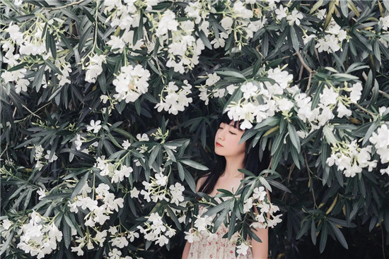 平台新版发布，小蝌蚪榴莲kdbacc解锁版可以升级影视版本了！