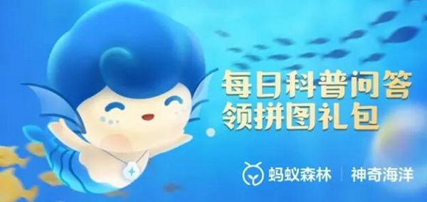 神奇海洋8.28今日答案-在贝类生物中，因体型巨大有“贝王”之称的是什么