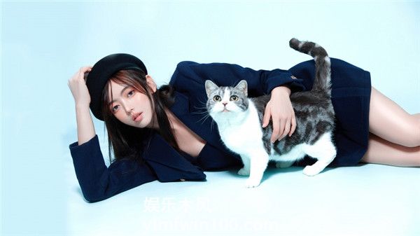 精东影业天美传媒网页版内容类型多?网友:可以轻松满足你!