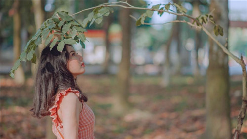 japonensisfes中国vedao大豆去除所有限制，网友：随意进出使用！