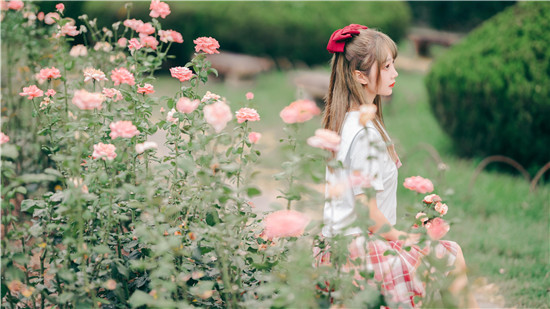 向日葵榴莲草莓芭乐小猪鸭脖最新版：满足你所有的观看需求