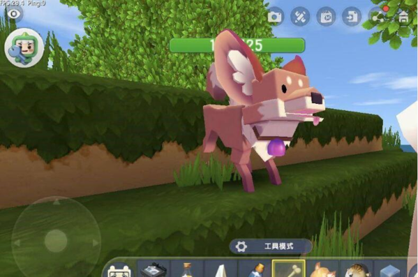 迷你世界狐狸怎么驯服 狐狸驯服教程