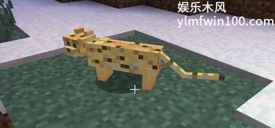 我的世界豹猫怎么繁殖-我的世界豹猫繁殖方法介绍攻略