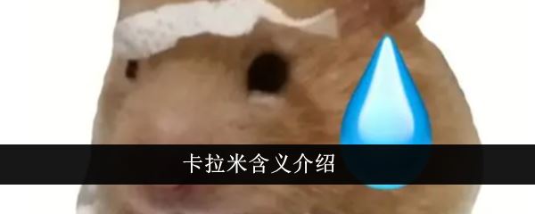 卡拉米是什么意思 卡拉米含义介绍