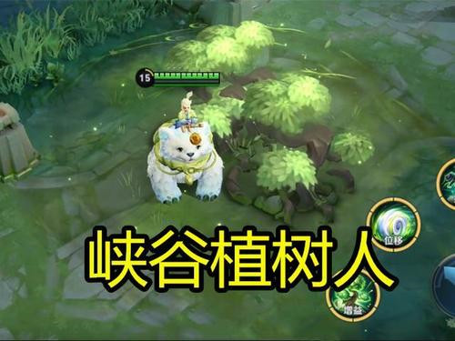 王者荣耀阿古朵阵容搭配指南