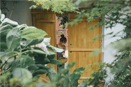 向日葵app免费下载ios安卓:视频免除会员限制无需认证登录的手机视频播放器