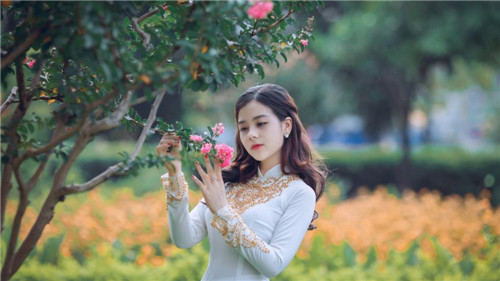 蜜桃秀app免费下载2021：一款拥有超级丰富的手机视频播放软件