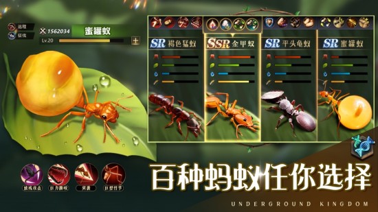 小小蚁国怎么提升战斗力小小蚁国提升战力方法分享