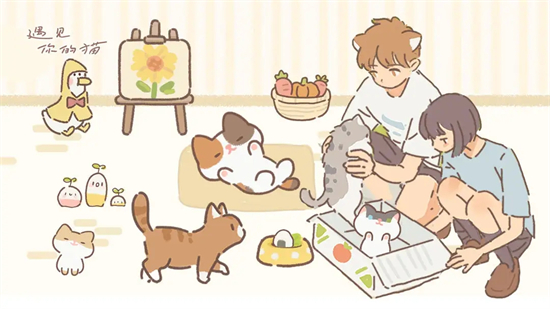 遇见你的猫菜谱有哪些菜谱攻略一览