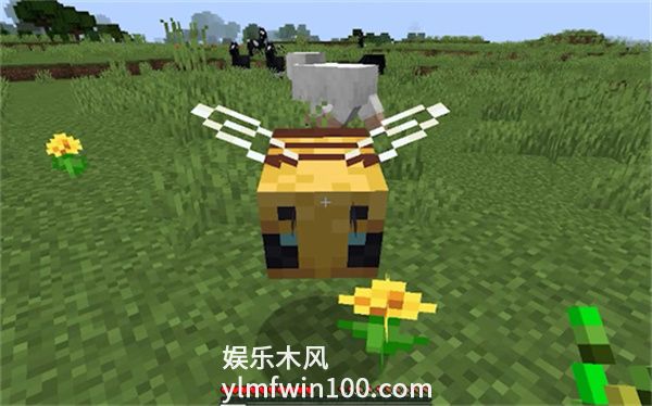我的世界怎么收服蜜蜂-蜜蜂收服攻略