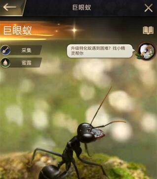 小小蚁国哪个特化蚁最强小小蚁国强度排名一览