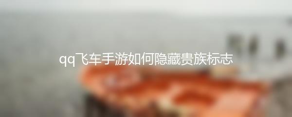 QQ飞车手游如何隐藏贵族标志