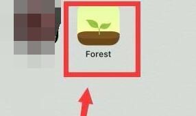 forest专注森林如何设置标签-forest专注森林如何设置标签的具体流程
