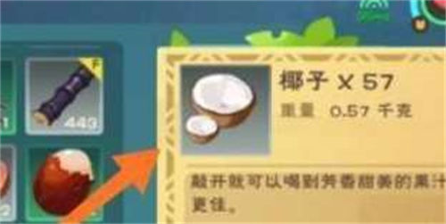 创造与魔法椰子汁怎么制作 创造与魔法椰子汁制作方法介绍