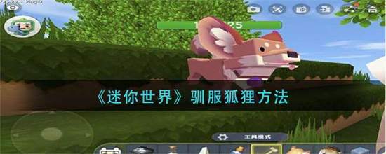 迷你世界狐狸什么驯服狐狸驯服方法
